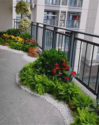 定制各種植物租賃造景