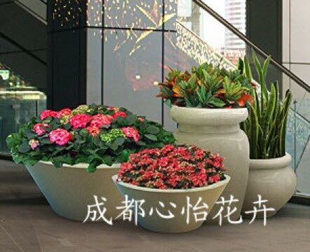 定制綠植租賃組盆